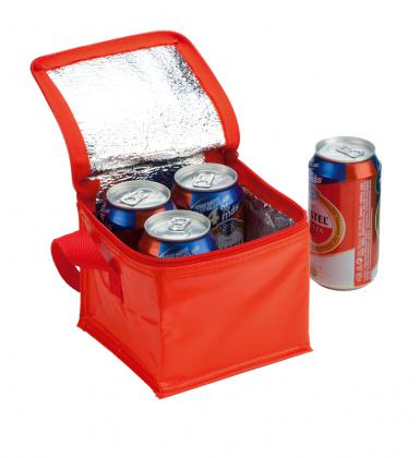 cooler bag