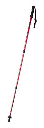 nordic walking sticks