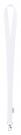 antibacterial lanyard