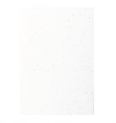 seed paper notebook