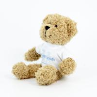 25cm Scruffy Bear Tshirt