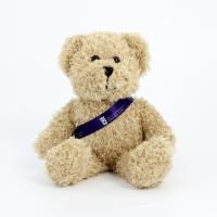 25cm Scruffy Bear Sash