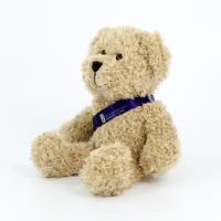 25cm Scruffy Bear Sash