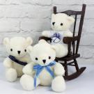 Bobby Bear 22cm Sash