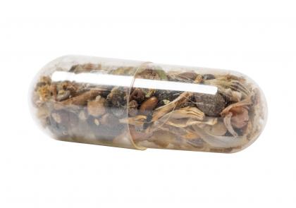 flower seed capsule