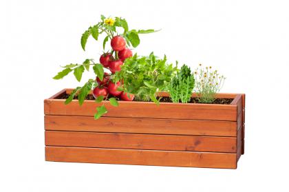 herb growing kit