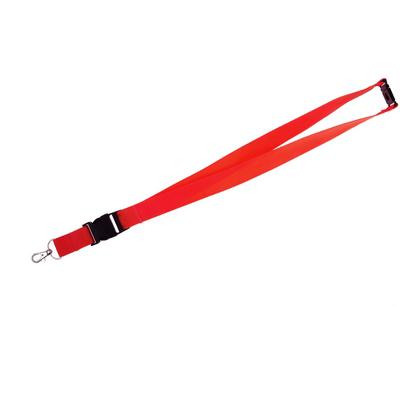 Lanyard