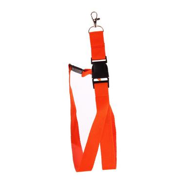 Lanyard