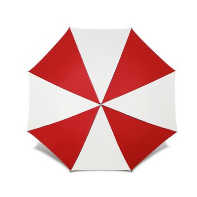 Automatic umbrella