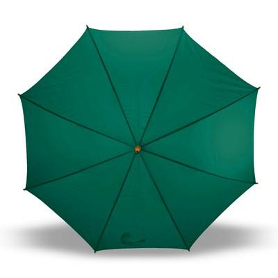 Automatic umbrella