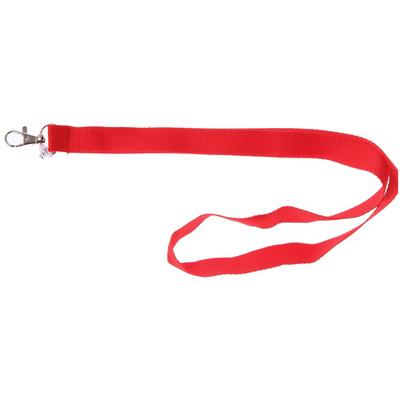 Lanyard