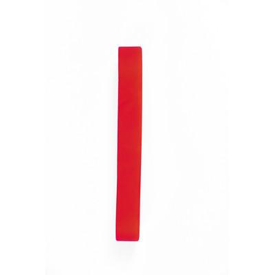 Silicone band