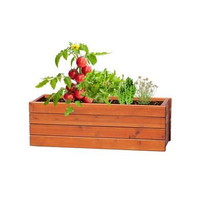 Set of seeds balls, 4 seeds types