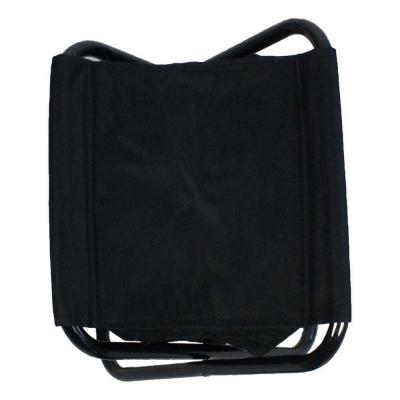 Cooler bag and chair