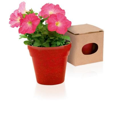 Flower pot, 5-8 petunia seeds and soil