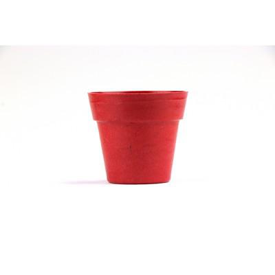 Flower pot, 5-8 petunia seeds and soil