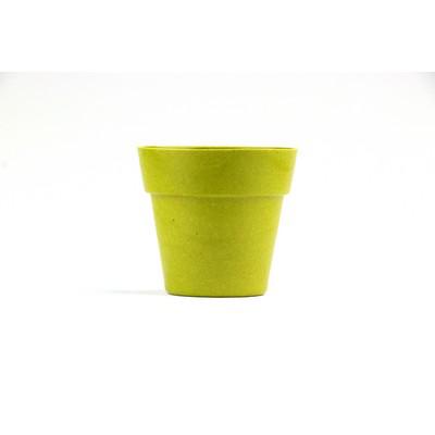 Flower pot, 5-8 petunia seeds and soil