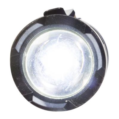 Torch 1 CREE LED