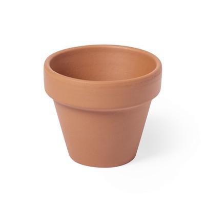 Flower pot, 5-8 petunia seeds and soil