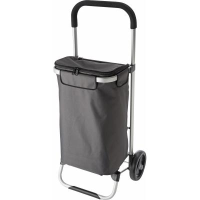 Shopping trolley, cooler bag