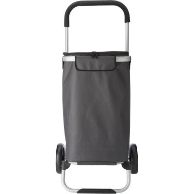 Shopping trolley, cooler bag