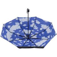 Manual umbrella, foldable