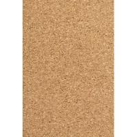Cork conference folder with notebook