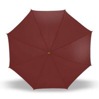 Automatic umbrella