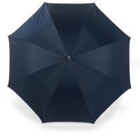 Automatic umbrella