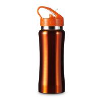 Sports bottle 600 ml