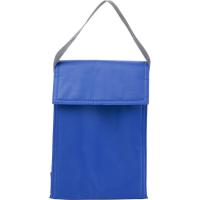 Cooler bag