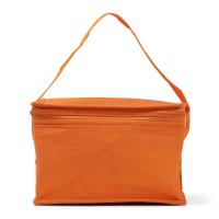Cooler bag