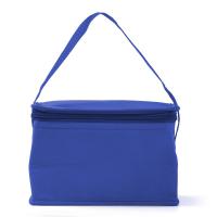 Cooler bag