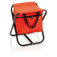 Cooler bag and chair