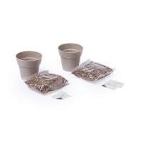Herb garden set, 2 flower pots and seeds