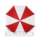 Automatic umbrella