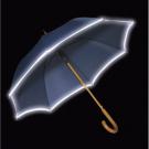 Automatic umbrella