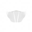 Nose and mouth shield