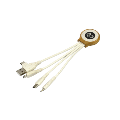 C31 - 3 in 1 cable charging cable with TYPEC