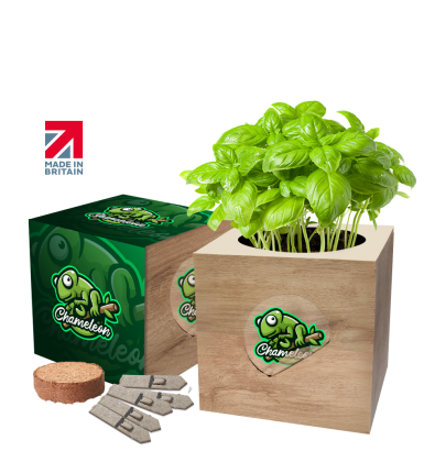 Desktop Cube Gardens