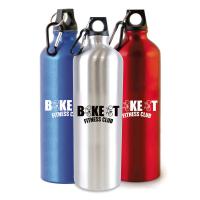 Pollock Glossy 1 litre Sports Bottle