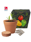 Recycled Pot Gardens