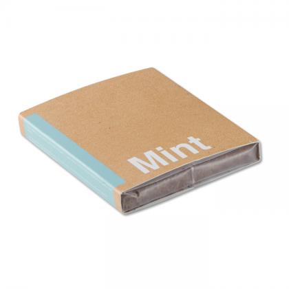Mint - Compost With Seeds Mint