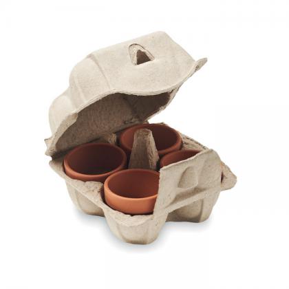 Cress - Egg Carton Growing Kit