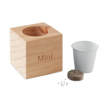 Menta - Herb Pot Wood Mint