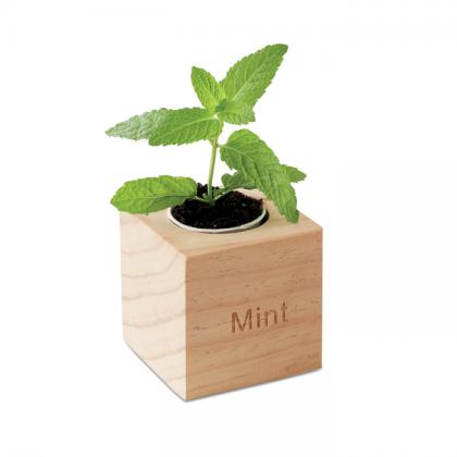 Menta - Herb Pot Wood Mint