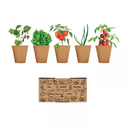 Salad - Salad Growing Kit