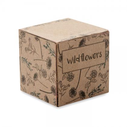 Bombi - Seed Bomb Growing Kit