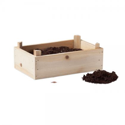 Strawberry - Strawberry Kit In Wooden Crate