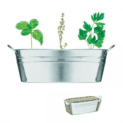 Mix Seeds - Zinc Tub With 3 Herbs Seeds